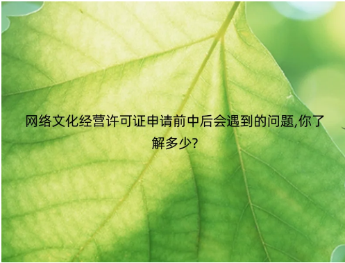 網(wǎng)絡(luò)文化經(jīng)營許可證申請前中后會遇到的問題,你了解多少?