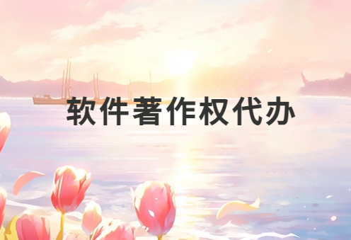軟件著作權(quán)代辦,為什么選擇代辦公司?
