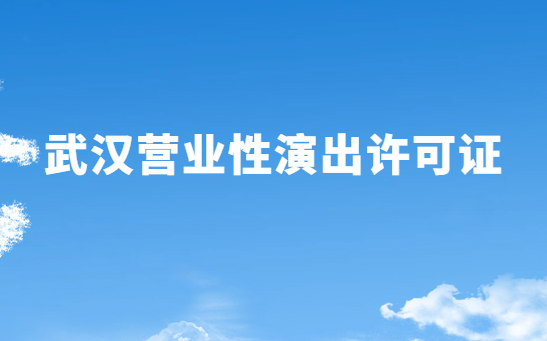 武漢營業(yè)性演出許可證怎么辦理,申請流程、條件及材料指南